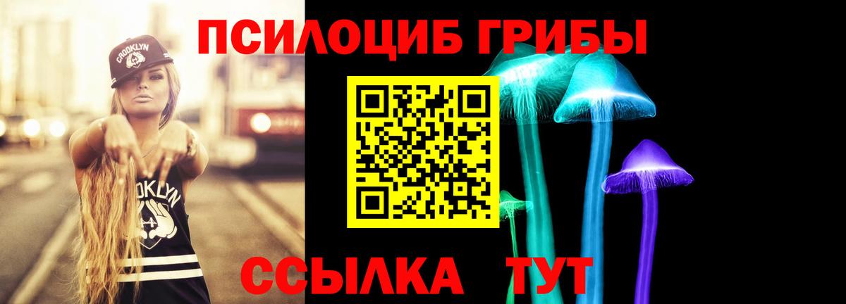 Псилоцибиновые грибы Psilocybe  Псилоцибиновые грибы MAGIC MUSHROOMS  Полысаево  Вход с VPN 